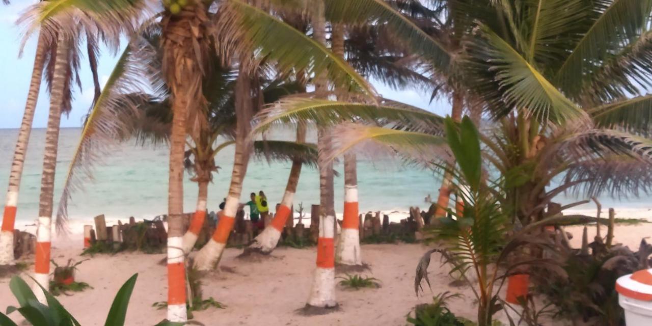 Sunny Beach Apartments San Andres  Bagian luar foto